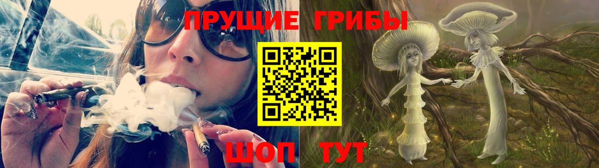 Клинцы  Галлюциногенные грибы ЛСД  Вход с VPN  Галлюциногенные грибы GOLDEN TEACHER 